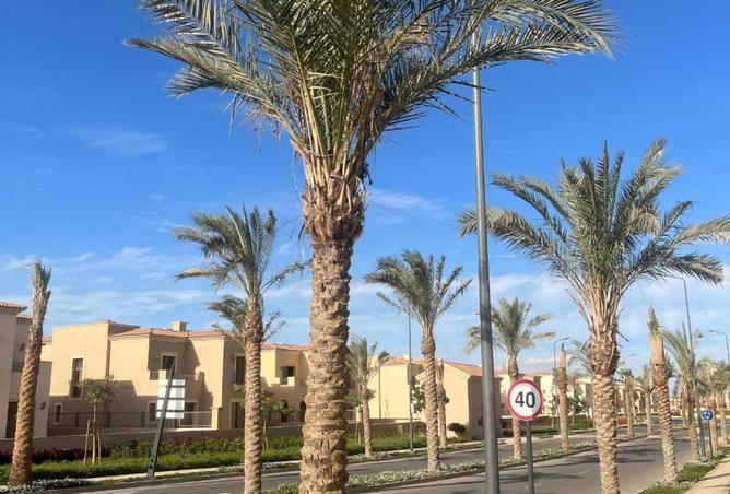 63892406 - Property Image 3