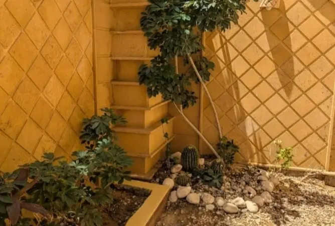 114620643 - صورة العقار 3