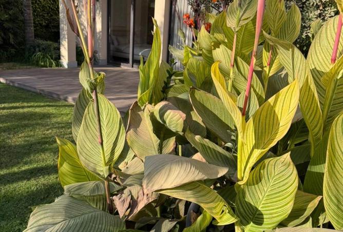 8650351 - صورة العقار 3