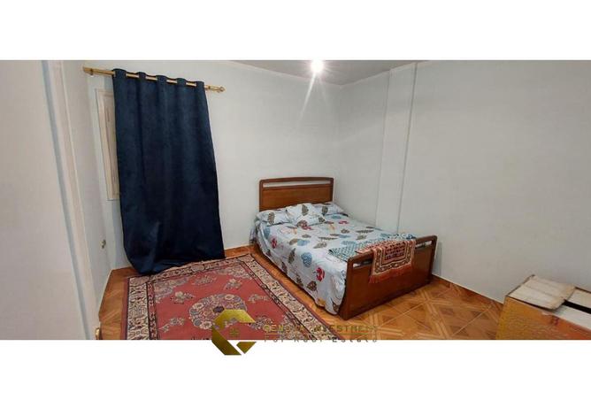 8606053 - Property Image 3