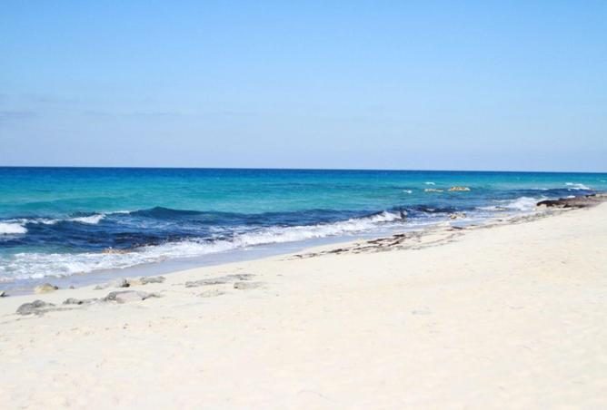 65161733 - الصورة الرئيسية للعقار