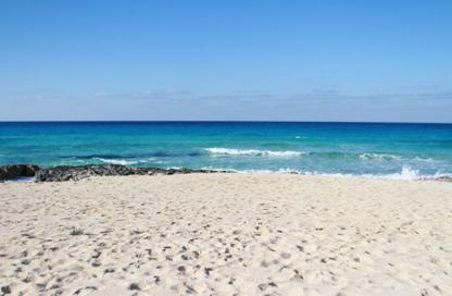 Apartment - 3 Bedrooms - 3 Bathrooms for sale in Seashell - Sidi Abdel Rahman - North Coast