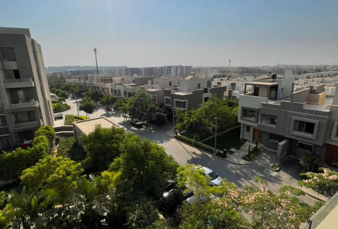 100083762 - صورة العقار 3