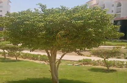 Apartment - 3 Bedrooms - 2 Bathrooms for sale in R3 - New Capital City - Cairo Apartment - 3 Bedrooms - 2 Bathrooms for sale in R3 - New Capital City - Cairo