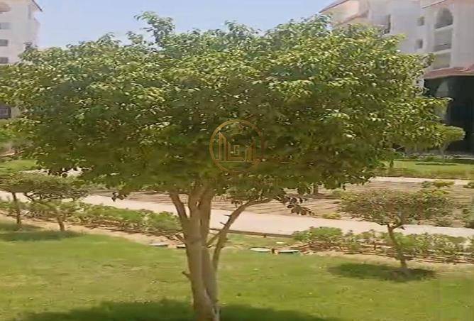 97435367 - صورة العقار 3