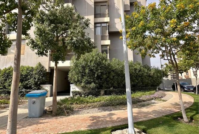 8441105 - Property Image 3