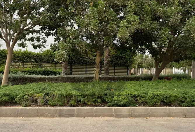 114904146 - Property Image 3