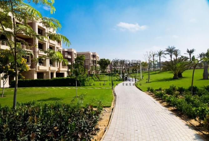 8501378 - Property Image 2