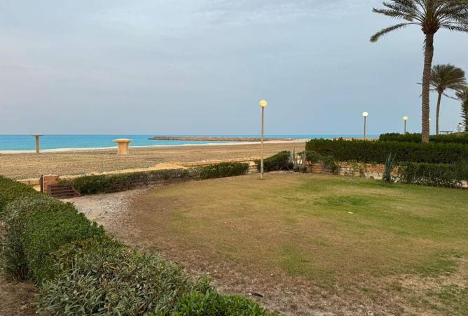 101492764 - صورة العقار 2