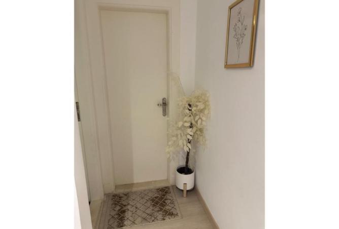 56008981 - Property Image 3