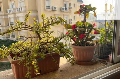 Apartment - 3 Bedrooms - 3 Bathrooms for rent in Mountain View Hyde Park - 5th Settlement Compounds - The 5th Settlement - New Cairo City - Cairo