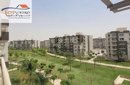 Apartment - 3 Bedrooms - 2 Bathrooms for rent in B12 - Madinaty - Cairo Apartment - 3 Bedrooms - 2 Bathrooms for rent in B12 - Madinaty - Cairo