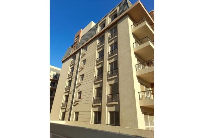 66167518 - Property Image 3