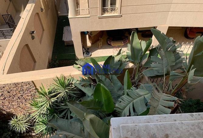 56508245 - Property Image 3