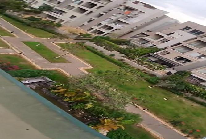 62894384 - Property Image 3