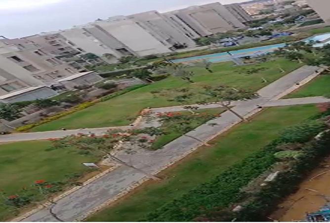 62894384 - Property Image 2