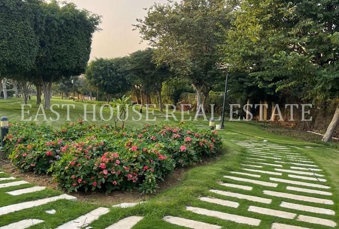 53474044 - صورة العقار 2