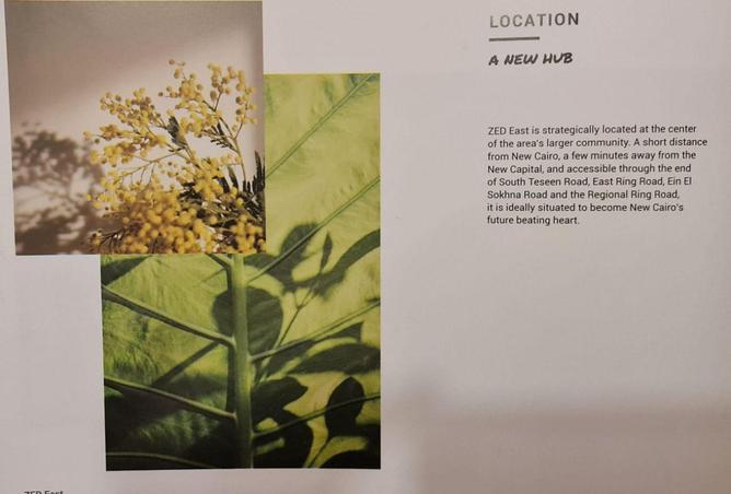 8630844 - صورة العقار 3