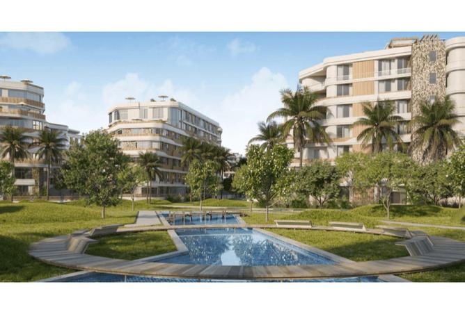 53736209 - Property Image 3