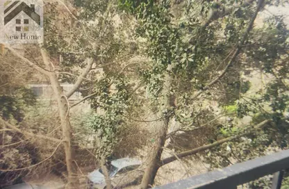 Apartment - 2 Bedrooms - 2 Bathrooms for sale in New Maadi - Hay El Maadi - Cairo