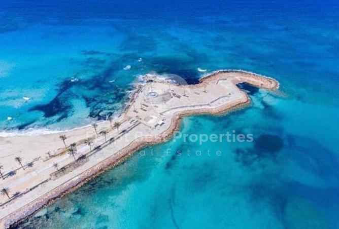 65918047 - صورة العقار 2