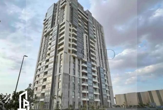 81041041 - Property Image 3