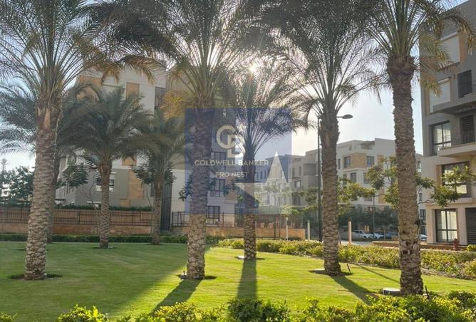 8684120 - Property Image 3