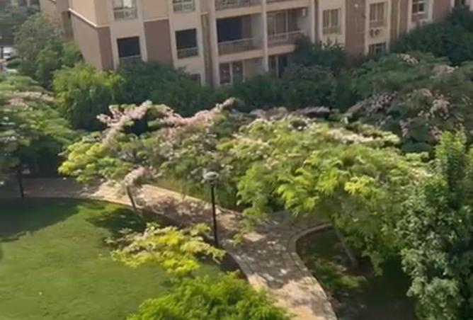101778741 - Property Image 3