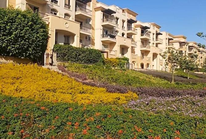 8654565 - Property Image 3