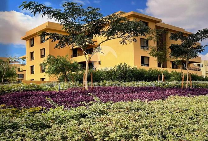 2OmCx54zTCi - صورة العقار 3