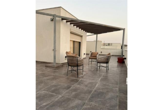 8503773 - صورة العقار 3