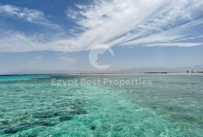 75681125 - Property Image 2