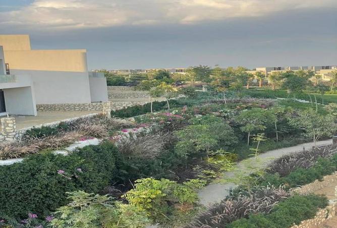 8712910 - صورة العقار 3