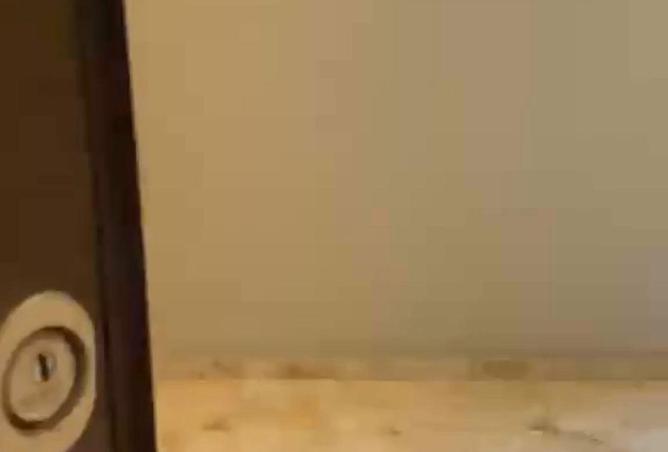 89891319 - Property Image 3
