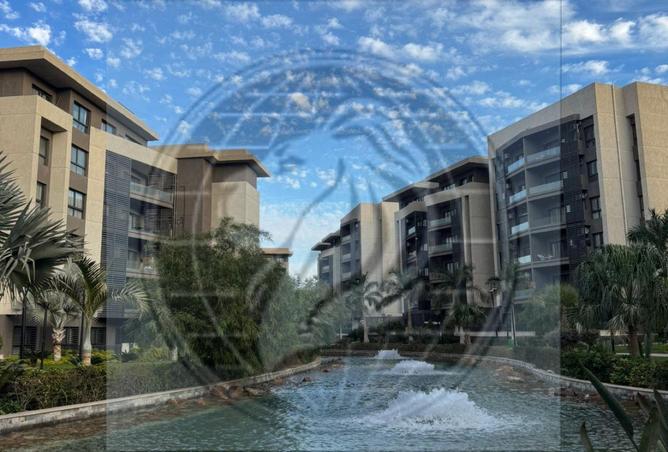 53721932 - Property Image 2