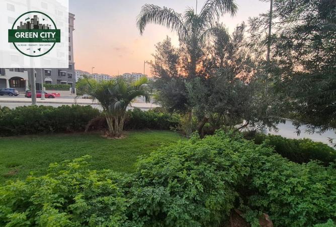 100526658 - صورة العقار 3