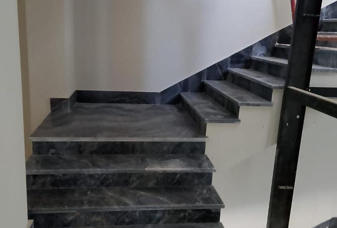 107681053 - Property Image 3
