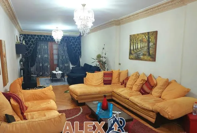 81826172 - صورة العقار 2