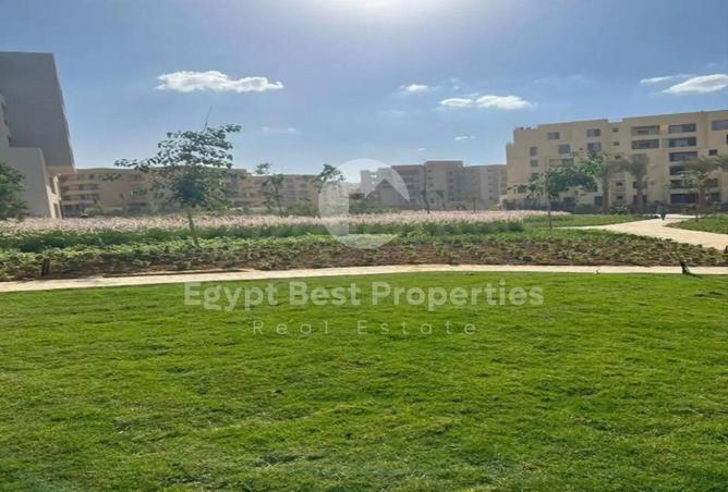 70366842 - Property Image 2