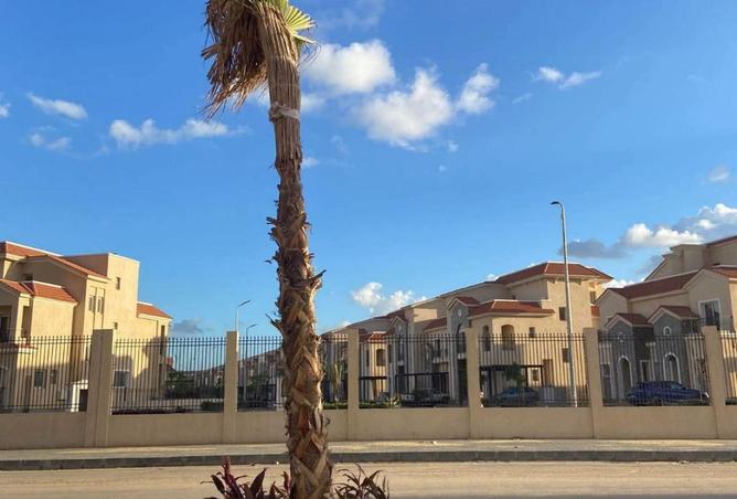 58256975 - صورة العقار 2