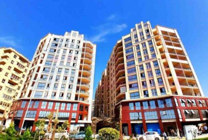 81316489 - صورة العقار 3
