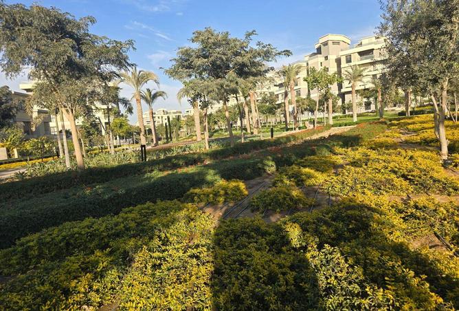 67996208 - صورة العقار 3