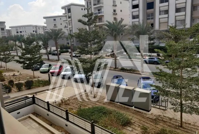 117280424 - Property Image 3