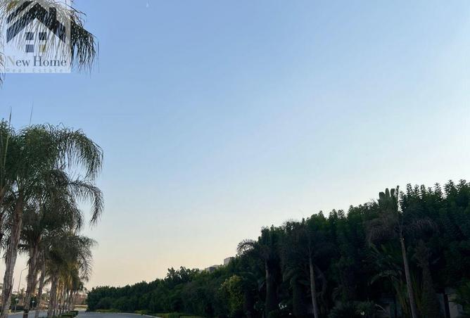 8464353 - صورة العقار 3