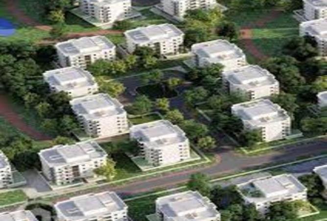 64640515 - صورة العقار 3