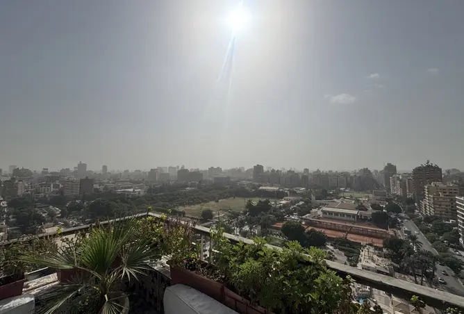 117522961 - صورة العقار 3