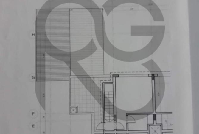 52713278 - Property Image 2