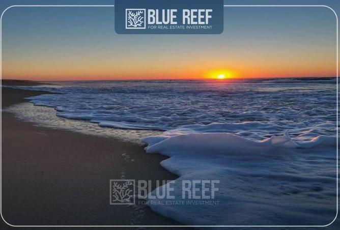 70094799 - صورة العقار 2