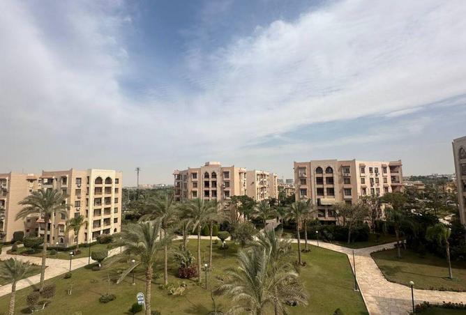 53726052 - Property Image 3