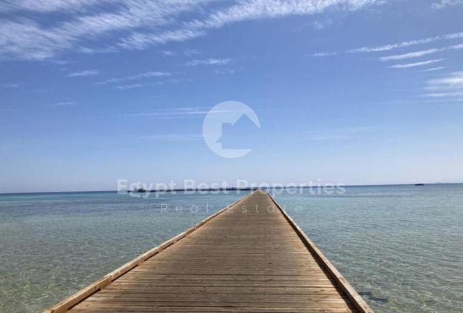 8496029 - Property Image 3